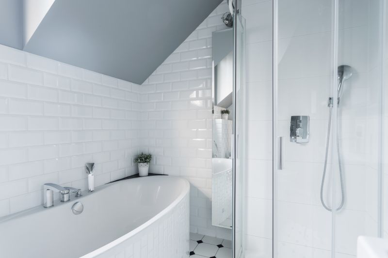 Bathroom Modification in Sarasota, FL
