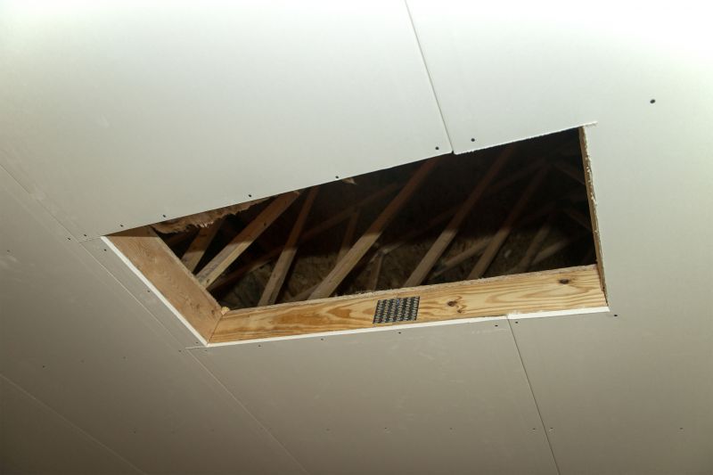 Attic Remodeling Service detail